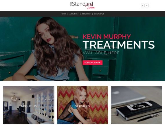 James Benavides - Web Design Portfolio - Standard Salon