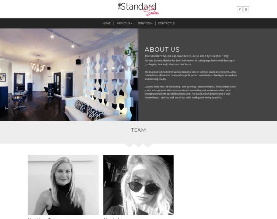 James Benavides - Web Design Portfolio - Standard Salon