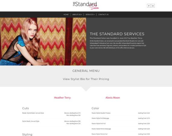 James Benavides - Web Design Portfolio - Standard Salon